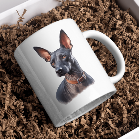 Xoloitzcuintli Dog 11oz White Mug, Perfect Gift Idea As It Comes Boxed.