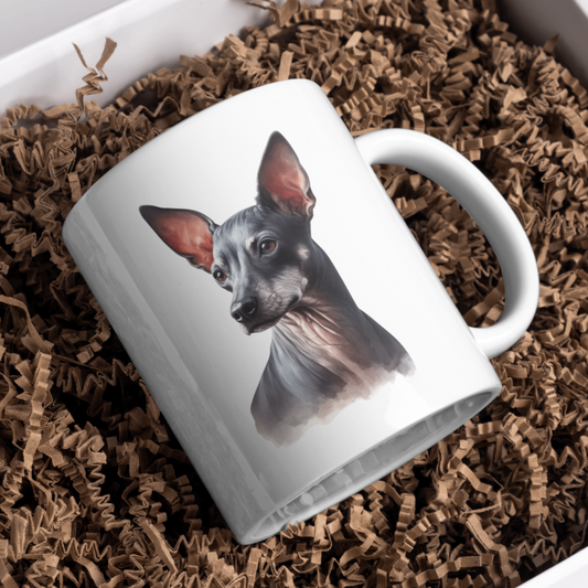 Xoloitzcuintli Dog 11oz White Mug, Perfect Gift Idea As It Comes Boxed.
