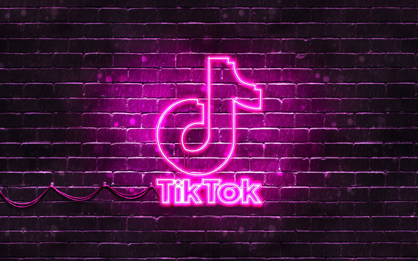 Bookish Bundle TikTok video