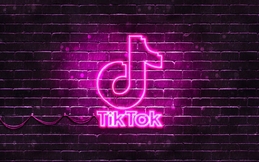 Bookish Bundle TikTok video