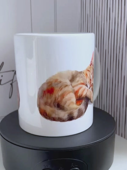 Sleeping Tabby Cat 11oz Mug