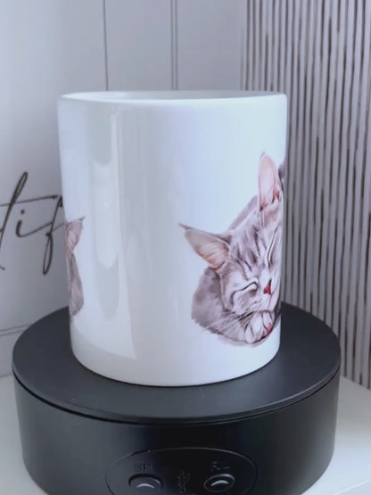 Sleeping Grey Cat 11oz Mug